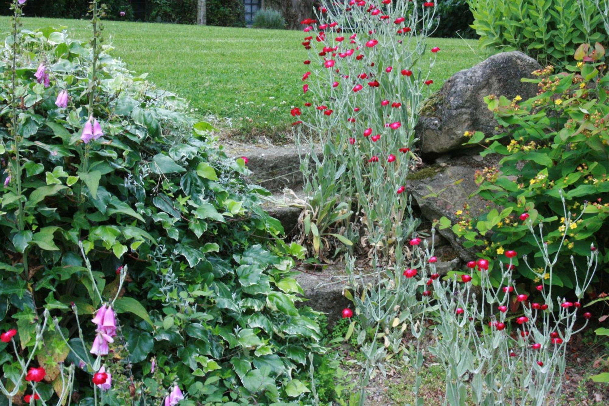 Au Pont Ricoul Bed & Breakfast Saint-Pierre-de-Plesguen Exterior photo